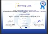 Projekty e-Twinning w ramach realizacji projektu "Łączą nas różnice" ERASMUS +, POWER  2016-1-PL01-KA101-024831, 